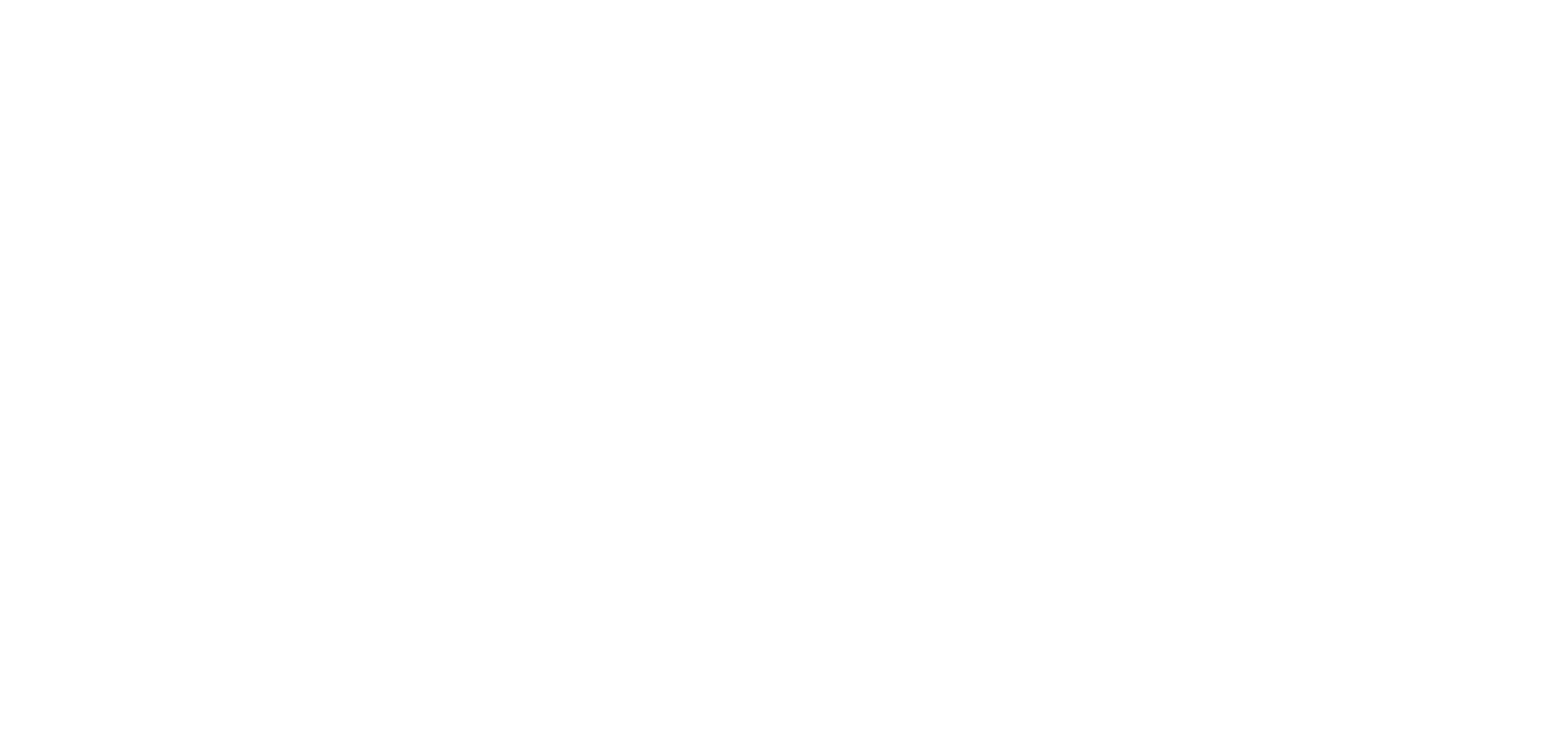 Logo anaika white